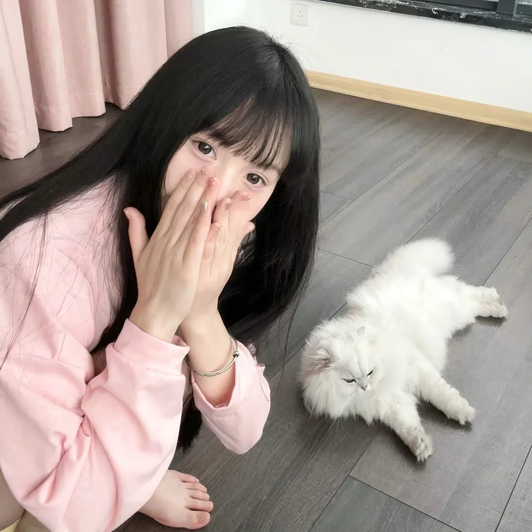 弄臣
